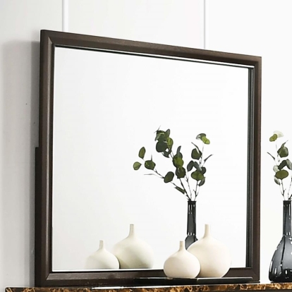 Coaster Conner Rectangular Mirror Cappuccino Model 200424