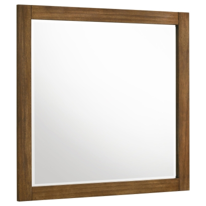 Coaster Adderley Transitional Mirror Model 215854