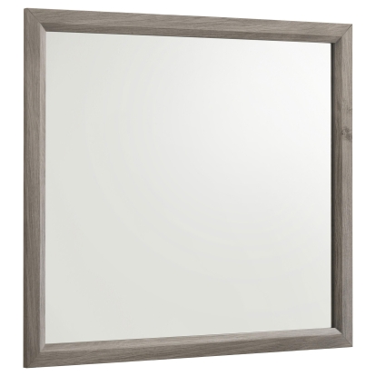Coaster Watson Transitional Light Taupe Mirror Model 215914