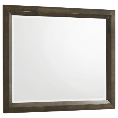 Coaster Atlas Transitional Mirror Model 215974