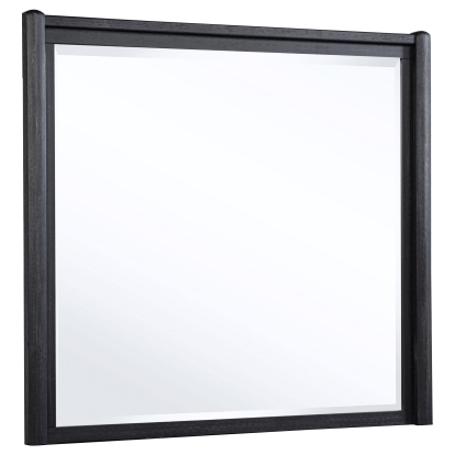 Coaster Leandro Contemporary Dresser Mirror Model 222494