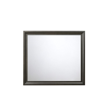 ACME Soteris Mirror Model 26544