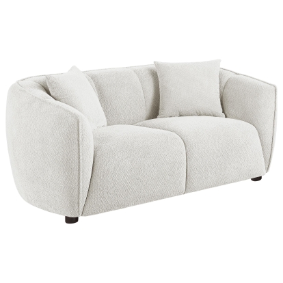 Coaster Aleisha Contemporary Loveseat Model 503065