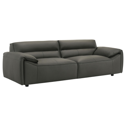 Coaster Buxton Contemporary Sofa Model 509504