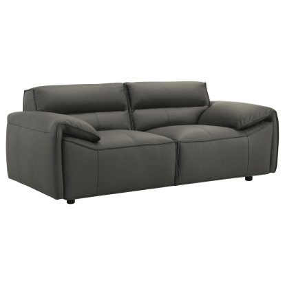 Coaster Buxton Contemporary Loveseat Model 509505