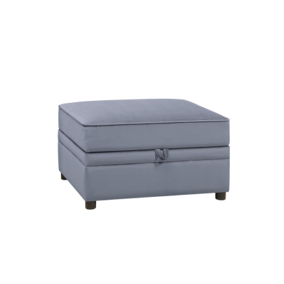 ACME Bois II Ottoman With Storage Model 53307