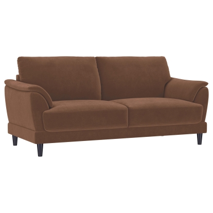 Coaster Selma Transitional Sofa Model 552101
