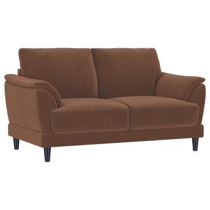 Coaster Selma Transitional Loveseat Model 552102