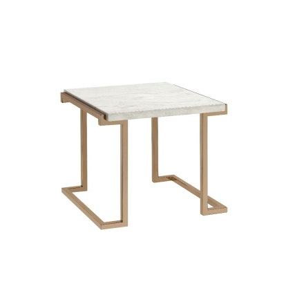 ACME Boice II End Table Model 82872