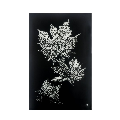 ACME Talisha Wall Art With Led Model 97716