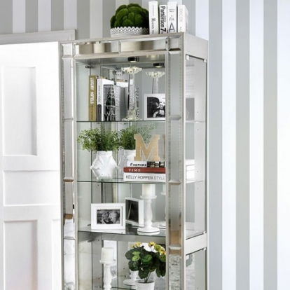 Furniture of America Carrollton Contemporary Glass Solid with Wood Veneer Chrome Curio Cabinet Model CM-CR150-PK