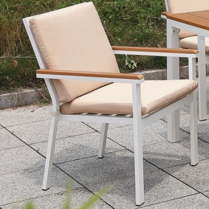 Furniture of America Aisha Transitional Aluminum Fabric White-Oak-Beige Chair (2-Ctn) Model CM-OT1867-AC-2PK