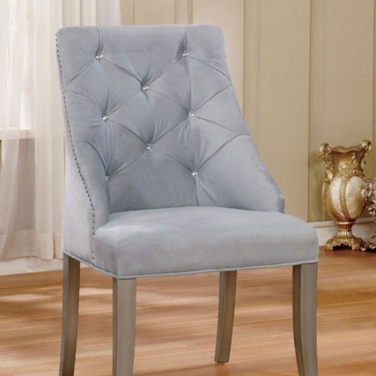 Furniture of America Diocles Transitional Flannelette Solid with Wood Veneer Silver-Gray Side Chair (2-Box) Model CM3020SC-2PK