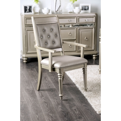 Xandra Transitional Champagne Arm Chair (Set of 2) Model CM3239AC-2PK by Furniture of America