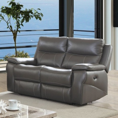 Furniture of America Lila Transitional Top Grain Leather Match Solid with Wood Gray Power-Assist Love Seat Model CM6540-LV-PM