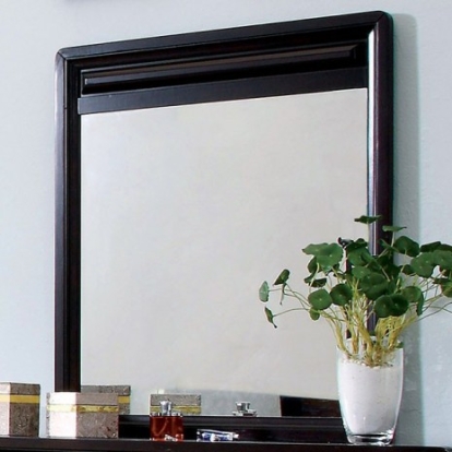 Furniture of America Winsor Transitional Solid with Wood Veneer Espresso Mirror Model CM7058M