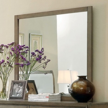 Furniture of America Enrico Contemporary Solid with Wood Veneer Gray Mirror Model CM7068GY-M