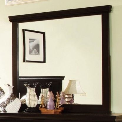Furniture of America Spruce Transitional Solid with Wood Veneer Espresso Mirror Model CM7113EX-M