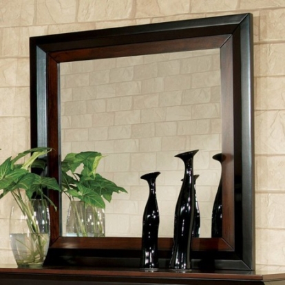 Furniture of America Patra Transitional Solid with Wood Veneer Acacia-Walnut Mirror Model CM7152M