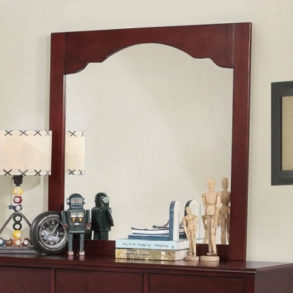 Furniture Of America Diane Transitional Others Cherry Mirror | CM7158CH-M