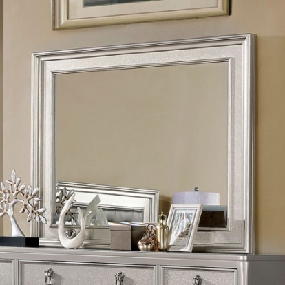 Furniture of America Avior Contemporary Mirror Solid with Wood Veneer Silver Mirror Model CM7170SV-M