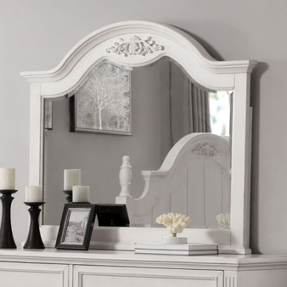 Furniture of America Georgette Transitional Solid with Wood Veneer Antique White Mirror Model CM7184M