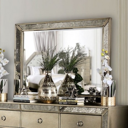 Furniture of America Loraine Glam Mirror Resin Solid with Wood Champagne Mirror Model CM7195M