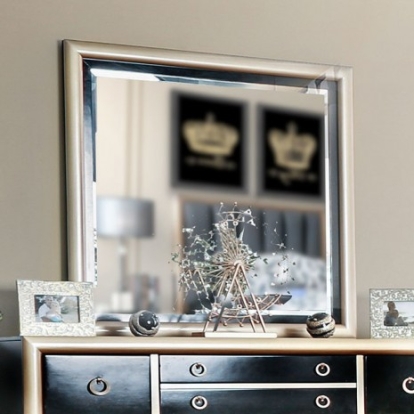 Furniture of America Braunfels Contemporary Mirror with Wood Black-Gold Mirror Model CM7263M