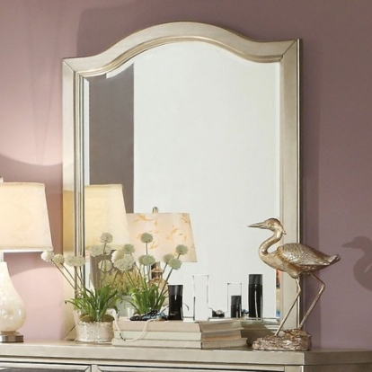 Furniture of America Adeline Contemporary Solid with Wood Silver Mirror Model CM7282M