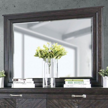 Furniture of America Argyros Transitional Solid with Wood Veneer Espresso Mirror Model CM7315M
