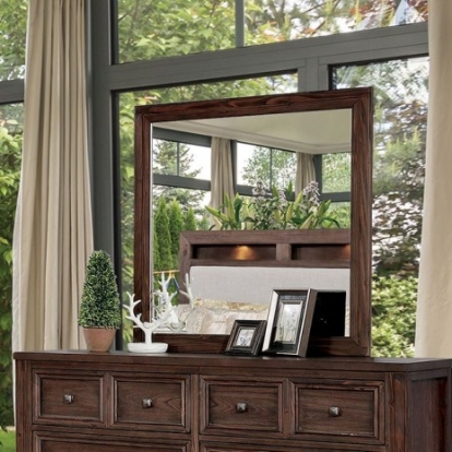 Furniture of America Tywyn Transitional Solid with Wood Veneer Dark Oak Mirror Model CM7365A-M