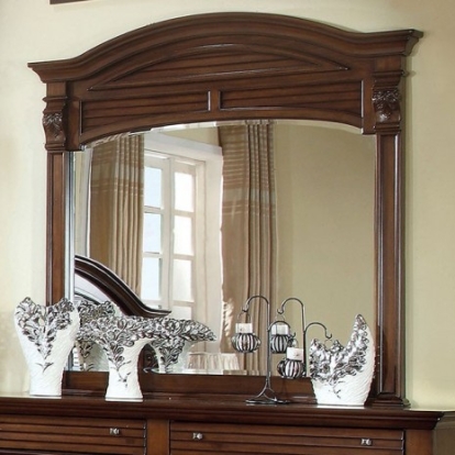 Furniture of America Darius Transitional Solid with Wood Veneer Antique Walnut Mirror Model CM7366M