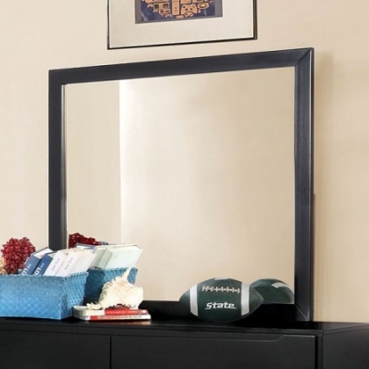 Furniture Of America Lennart Mid-Century Modern Solid Wood, Wood Veneer, Others Black Rectangular Mirror | CM7386BK-M