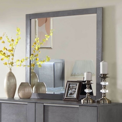 Furniture of America Regulus Contemporary Solid with Wood Gray Mirror Model CM7475GY-M