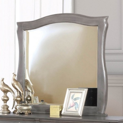 Furniture of America Brunswick Transitional Solid with Wood Veneer Gray Mirror Model CM7503GY-M