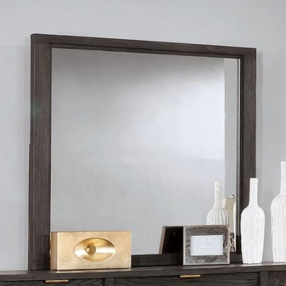 Furniture of America Bailey Contemporary Solid with Wood Veneer Dark Gray Mirror Model CM7510M