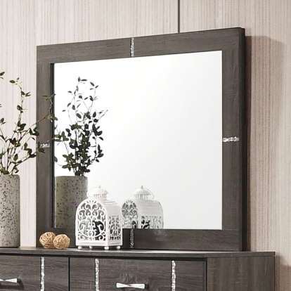 Richterswil Gray Mirror Model CM7515M by Furniture of America