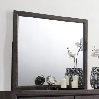 Furniture of America Conwy Contemporary Paper Veneer Gray Mirror Model CM7549M