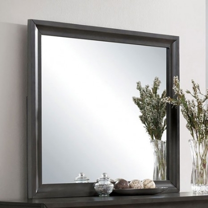 Furniture of America Clotilde Transitional Mirror Solid with Wood Veneer Antique Gray Mirror Model CM7553M