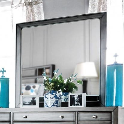 Furniture of America Daphne Transitional Solid with Wood Veneer Gray Mirror Model CM7556M