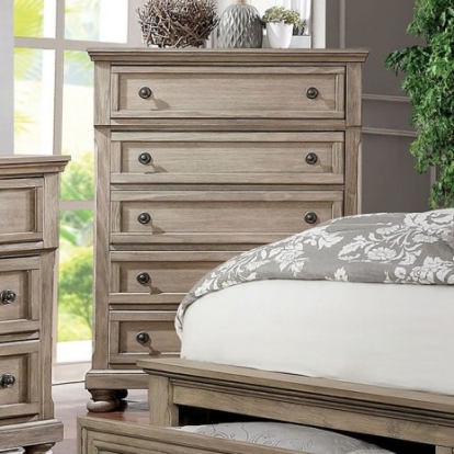 Furniture of America Wells Transitional Solid with Wood Veneer Gray Chest Model CM7568C