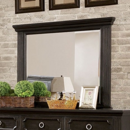 Furniture of America Roisin Transitional Mirror Wire-Brushed Black Mirror Model CM7578M