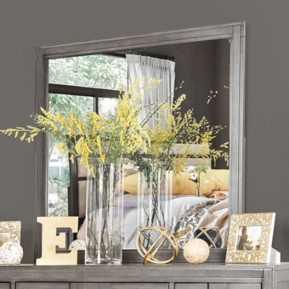 Furniture of America Berenice Transitional Solid with Wood Veneer Gray Mirror Model CM7580GY-M