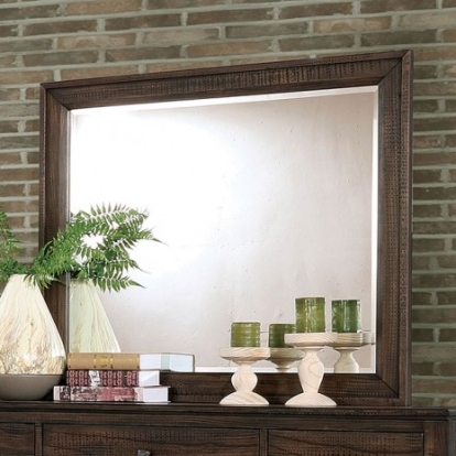 Furniture of America Agapetos Transitional Solid with Wood Veneer Walnut Mirror Model CM7581M