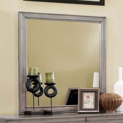 Furniture of America Eugenia Transitional Mirror Solid with Wood Gray Mirror Model CM7598GY-M