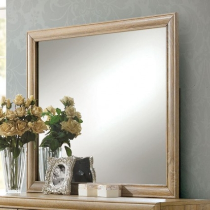 Furniture of America Renee Contemporary Mirror Solid with Wood Natural Mirror Model CM7660M