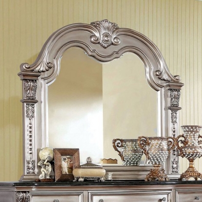 Furniture of America Fromberg Traditional Solid with Wood Veneer Champagne Mirror Model CM7670CPN-M