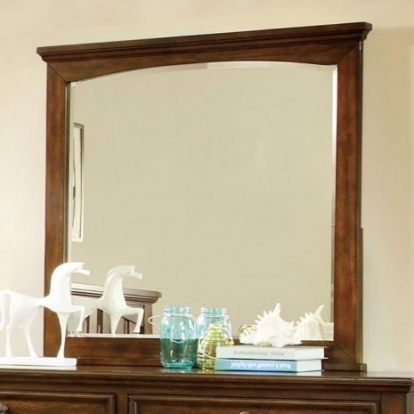 Furniture of America Chelsea Transitional Mirror Solid with Wood Veneer Cherry Mirror Model CM7781M