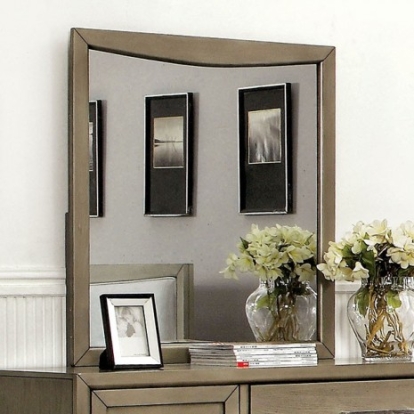 Furniture of America Snyder Contemporary Mirror Solid with Wood Veneer Gray Mirror Model CM7782M