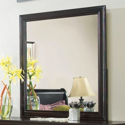 Furniture of America Laurelle Transitional Mirror Solid with Wood Veneer Espresso Mirror Model CM7815EX-M